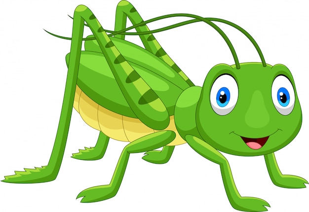 Cute grasshopper cartoon Premium Vector