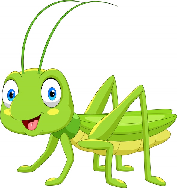 Premium Vector | Cute grasshopper cartoon