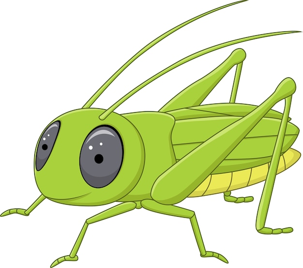 Premium Vector | Cute grasshopper posing isolated on white background