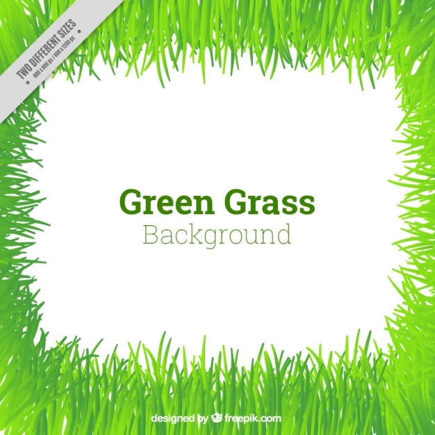 Cute green grass background