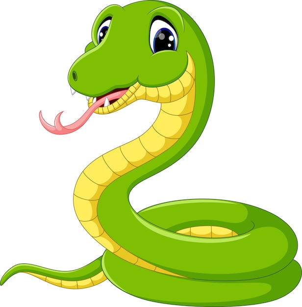 Cute green snake cartoon Vector | Premium Download