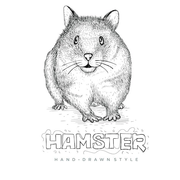 プレミアムベクター 手描きスタイル リアルな動物イラストがかわいいハムスター
