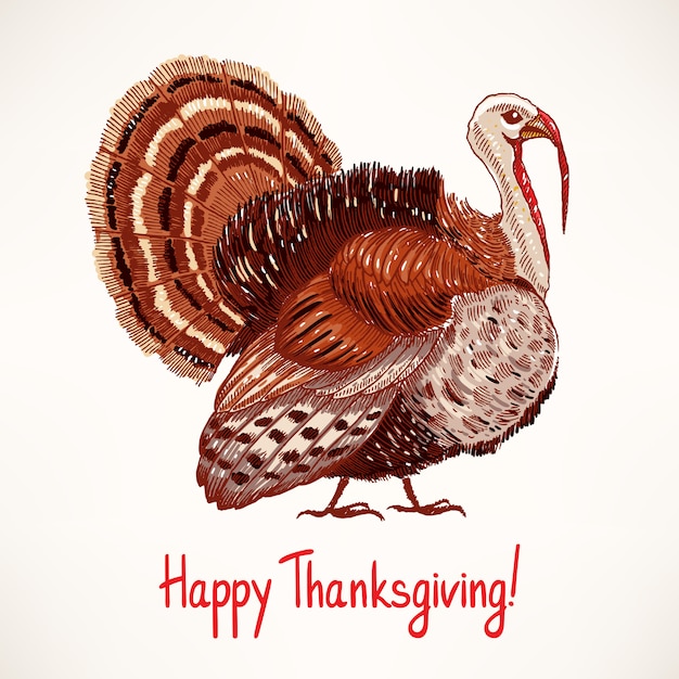 Cute hand drawn turkey. sketch. card for thanksgiving day Premium Vector