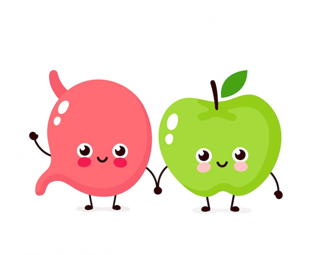 かわいい幸せな笑顔の胃とリンゴのキャラクター ベクトルフラット漫画イラストデザイン 白で隔離 胃とリンゴの友人キャラクターコンセプト プレミアムベクター