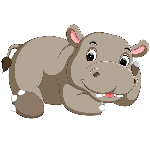 Premium Vector | Cute hippo cartoon