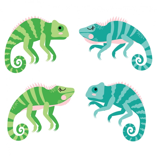 Premium Vector Cute Iguana Cartoon Element Set,Educational Websites For Teachers