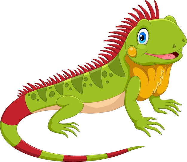 Premium Vector Cute iguana cartoon