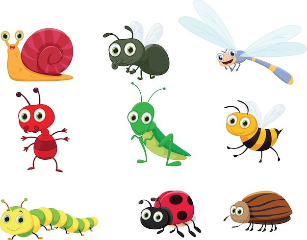 Premium Vector | Cute insect collection set