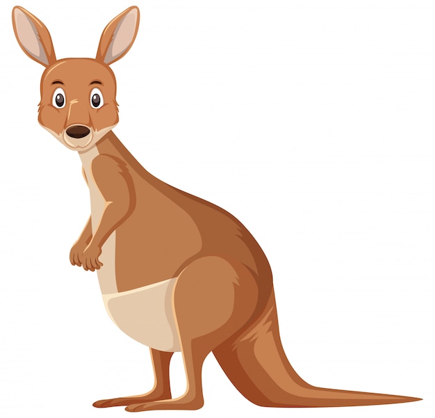 Premium Vector Cute Kangaroo Standing