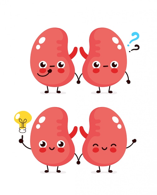 Kidneys Cartoon - The primary job of the kidneys is to filter unneeded