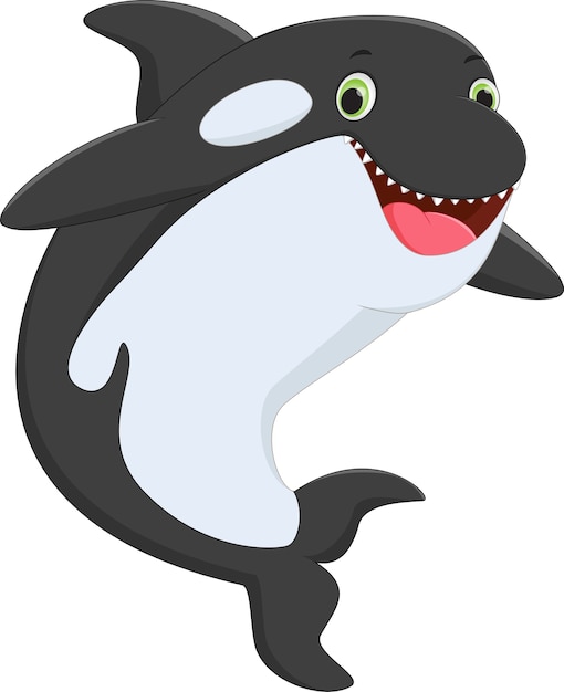 Premium Vector | Cute killer whale cartoon