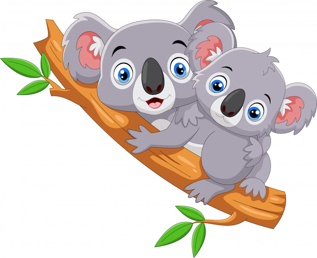 Cute koala cartoon on a tree Vector | Premium Download