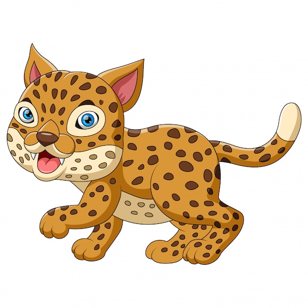 Premium Vector | Cute leopard cartoon