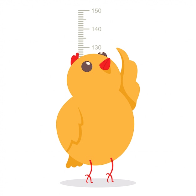 Growth Of A Chicken Chart