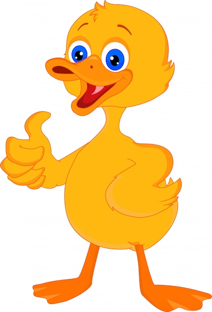 Premium Vector | Cute little duck cartoon thumb up