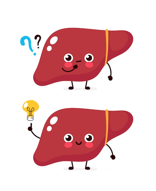 疑問符と電球の文字でかわいい肝臓 フラット漫画キャライラストアイコン 白で隔離 子宮にアイデアがある プレミアムベクター