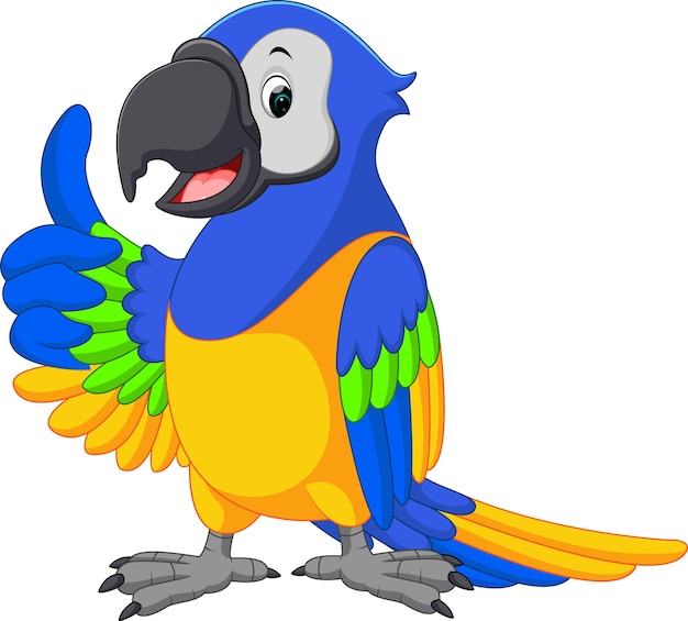 Premium Vector | Cute macaw cartoon