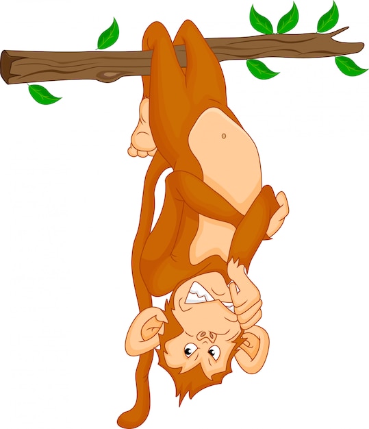 Free Free 69 Cute Monkey Svg Free SVG PNG EPS DXF File