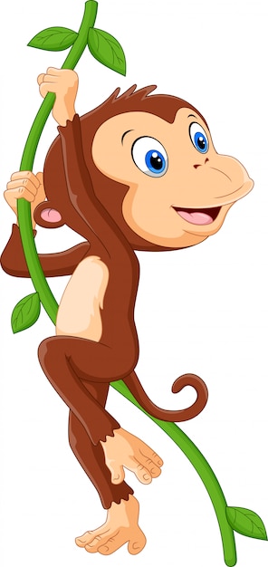 Free Free 220 Hanging Monkey Svg Free SVG PNG EPS DXF File