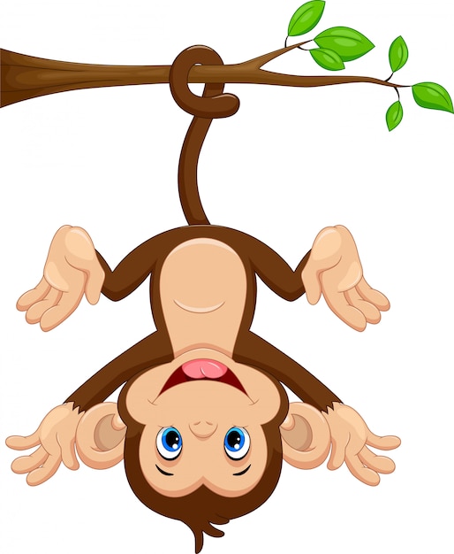 Premium Vector Cute monkey hanging on tree