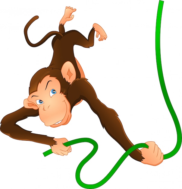 Free Free 288 Hanging Monkey Svg Free SVG PNG EPS DXF File