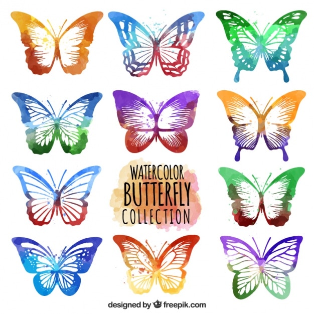 Cute multi-colored decorative
butterflies