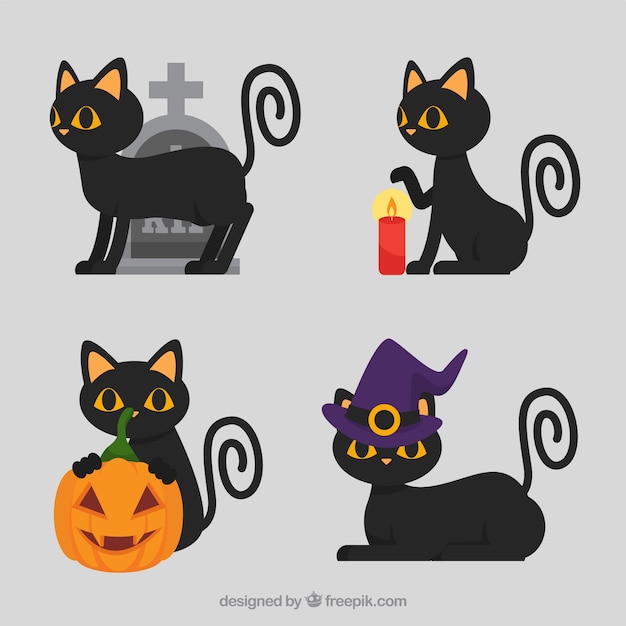 Cute pack of flat halloween cats