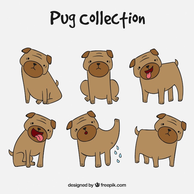 Cute pack of hand drawn pugs