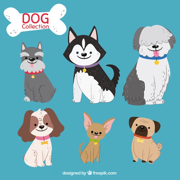 Cute pack of six hand-drawn dogs