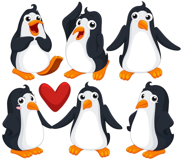 penguin illustration free download