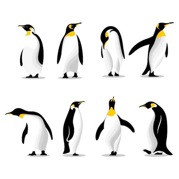 さまざまなポーズのイラストセットのかわいいペンギン プレミアムベクター