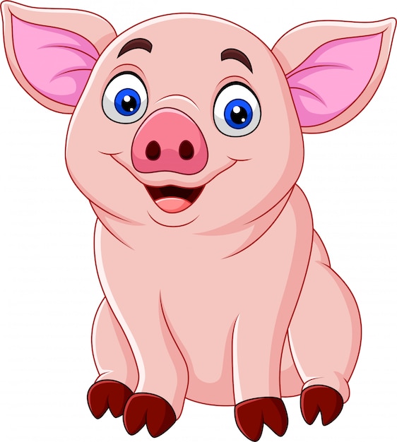 Premium Vector | Cute pig cartoon