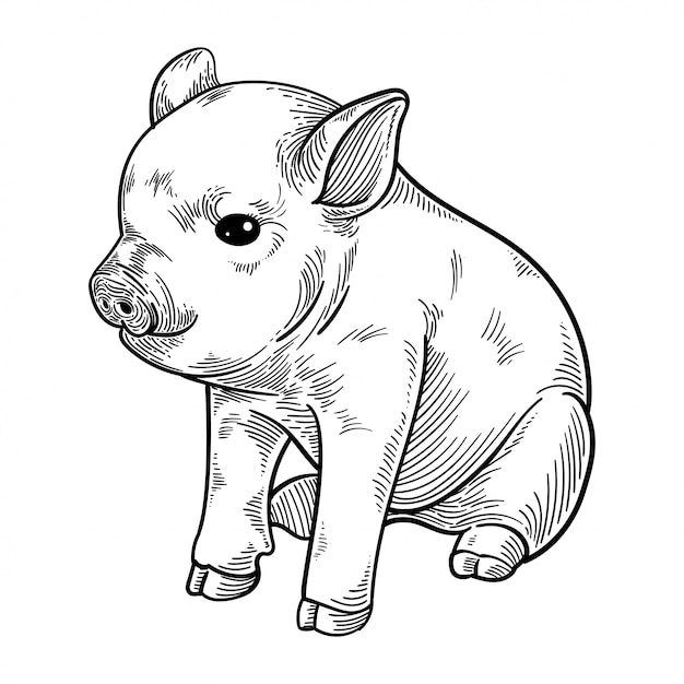 かわいい豚のイラスト プレミアムベクター