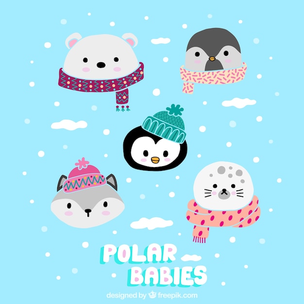 Cute polar babies