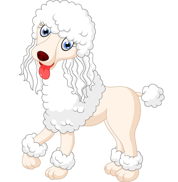 Premium Vector | Cute poodle dog