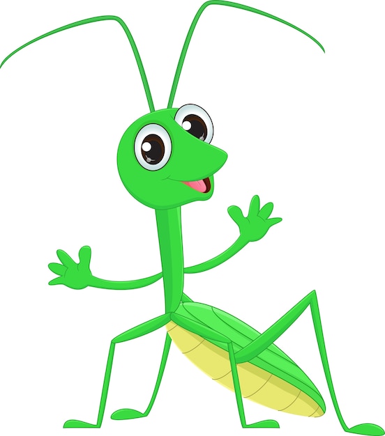 Premium Vector | Cute praying mantis grasshopper cartoon