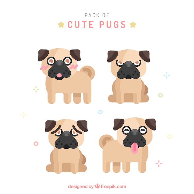 Cute pug collection with flat design