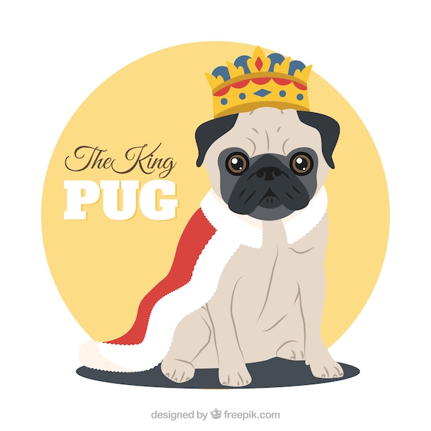 Cute pug with king costume