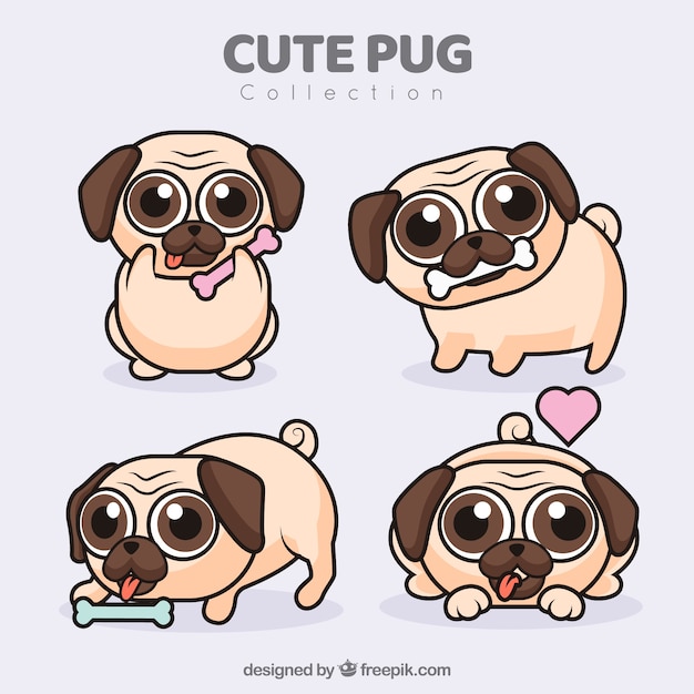 Cute pugs with flat design