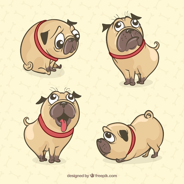 Cute pugs with hand drawn style
