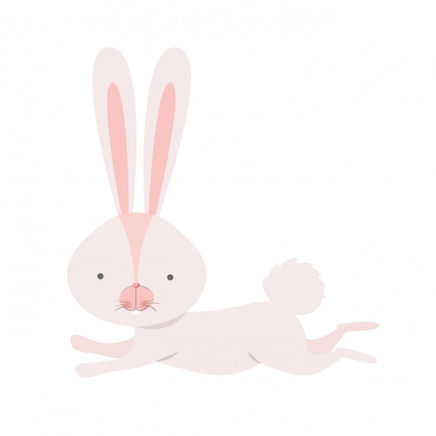 Premium Vector | Cute rabbit isolated icon