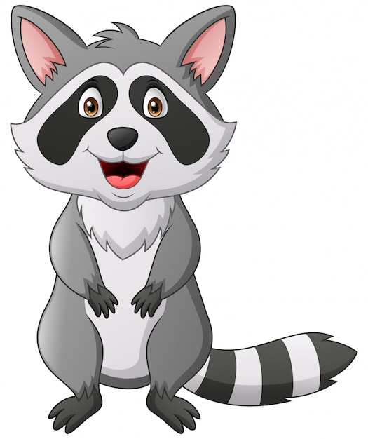 Premium Vector Cute raccoon cartoon. illustration