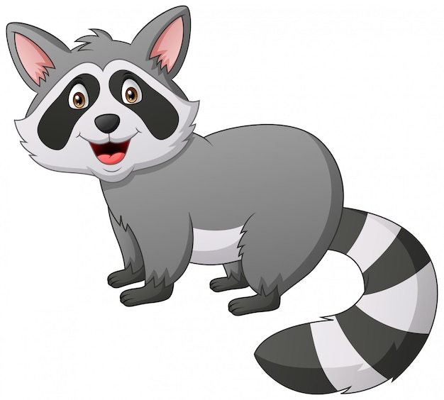 Premium Vector Cute Raccoon Cartoon Illustration