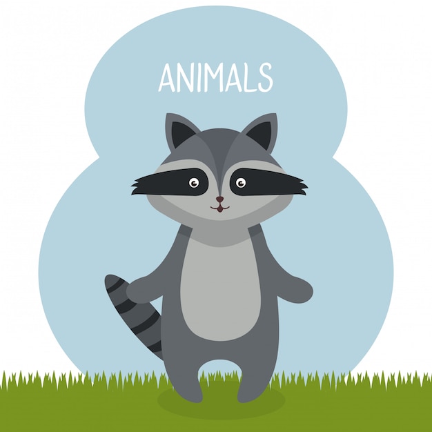 Download Cute raccoon in the field landscape character | Free Vector