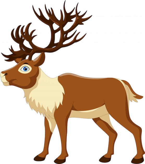 Premium Vector Cute Reindeer Cartoon Choose from 70+ cartoon reindeer graph...