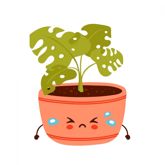 Download Premium Vector | Cute sad funny monstera plant in pot ...