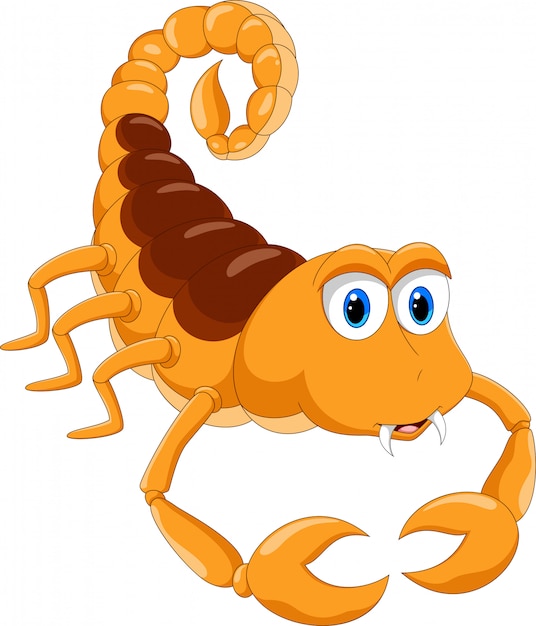 Premium Vector | Cute scorpion cartoon