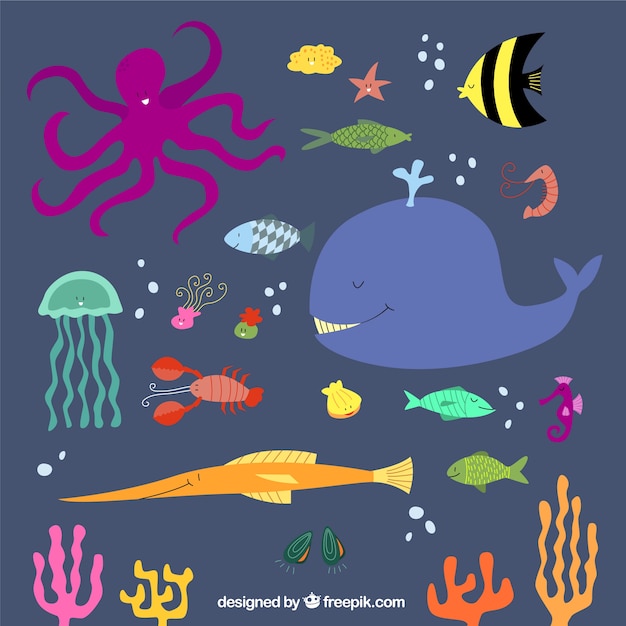 Download Cute sea animals | Free Vector