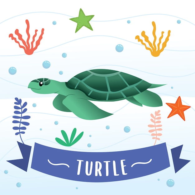 Free SVG Cute Sea Turtle Svg 7172+ SVG Images File - Premium and Free