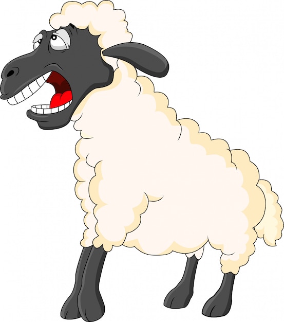 Download Cute sheep cartoon Vector | Premium Download